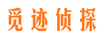 巴东调查公司